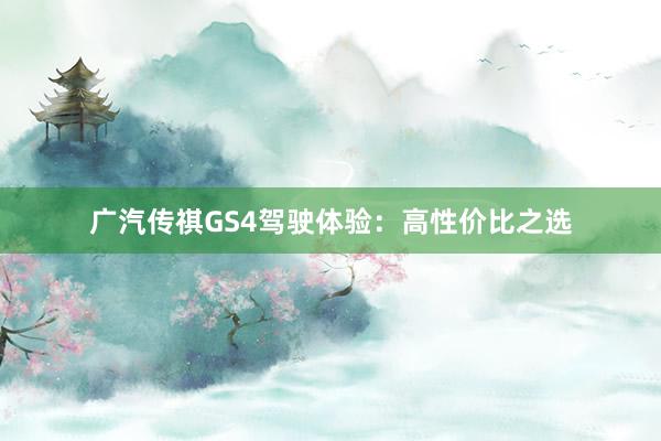 广汽传祺GS4驾驶体验：高性价比之选