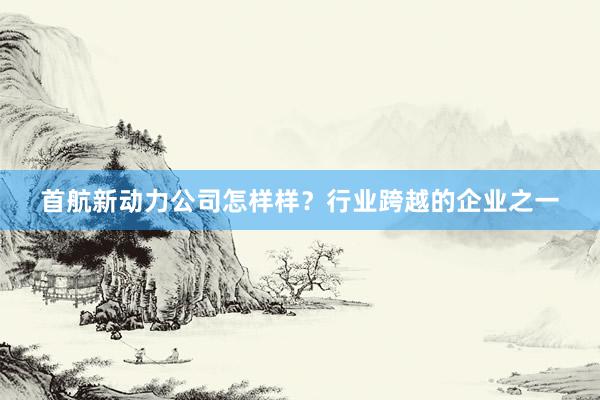 首航新动力公司怎样样？行业跨越的企业之一