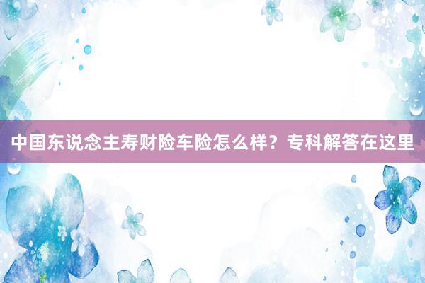 中国东说念主寿财险车险怎么样？专科解答在这里